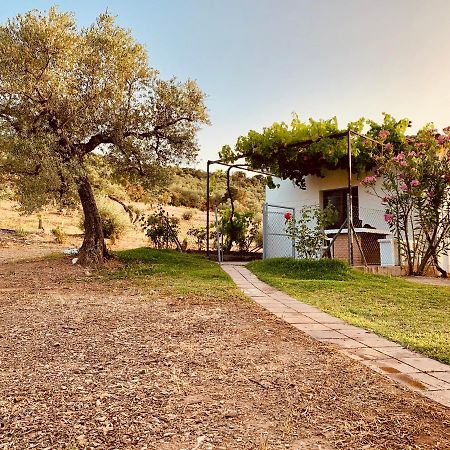 Casa Rural Arroyo Marco Guadalcanal エクステリア 写真