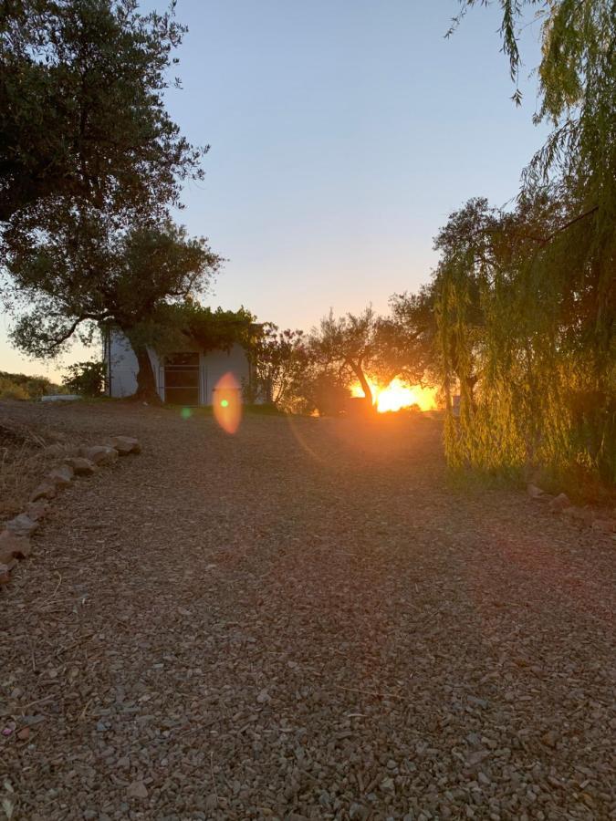 Casa Rural Arroyo Marco Guadalcanal エクステリア 写真