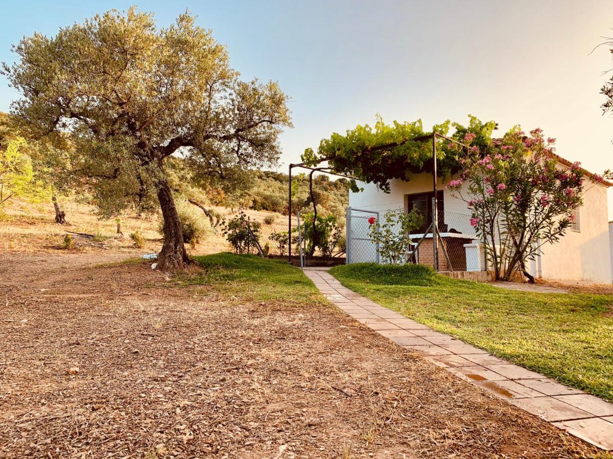 Casa Rural Arroyo Marco Guadalcanal エクステリア 写真